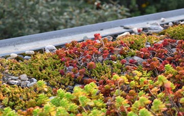 the cost of Dalreavoch green roof installation