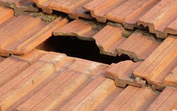 roof repair Dalreavoch, Highland