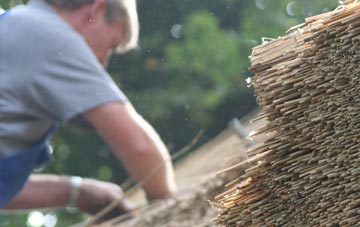 professional Dalreavoch thatchers