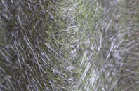 Dalreavoch fibreglass roof work