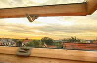 rated Dalreavoch roof window companies